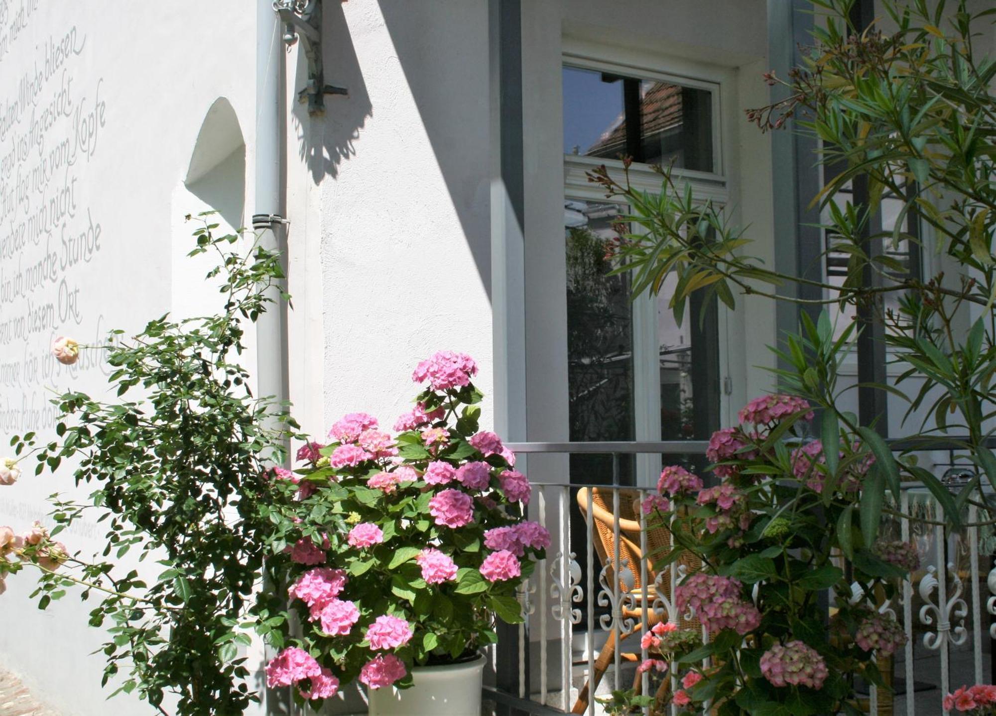 Herrenhof Worms Dış mekan fotoğraf