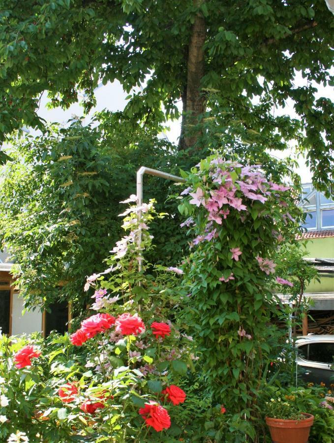 Herrenhof Worms Dış mekan fotoğraf