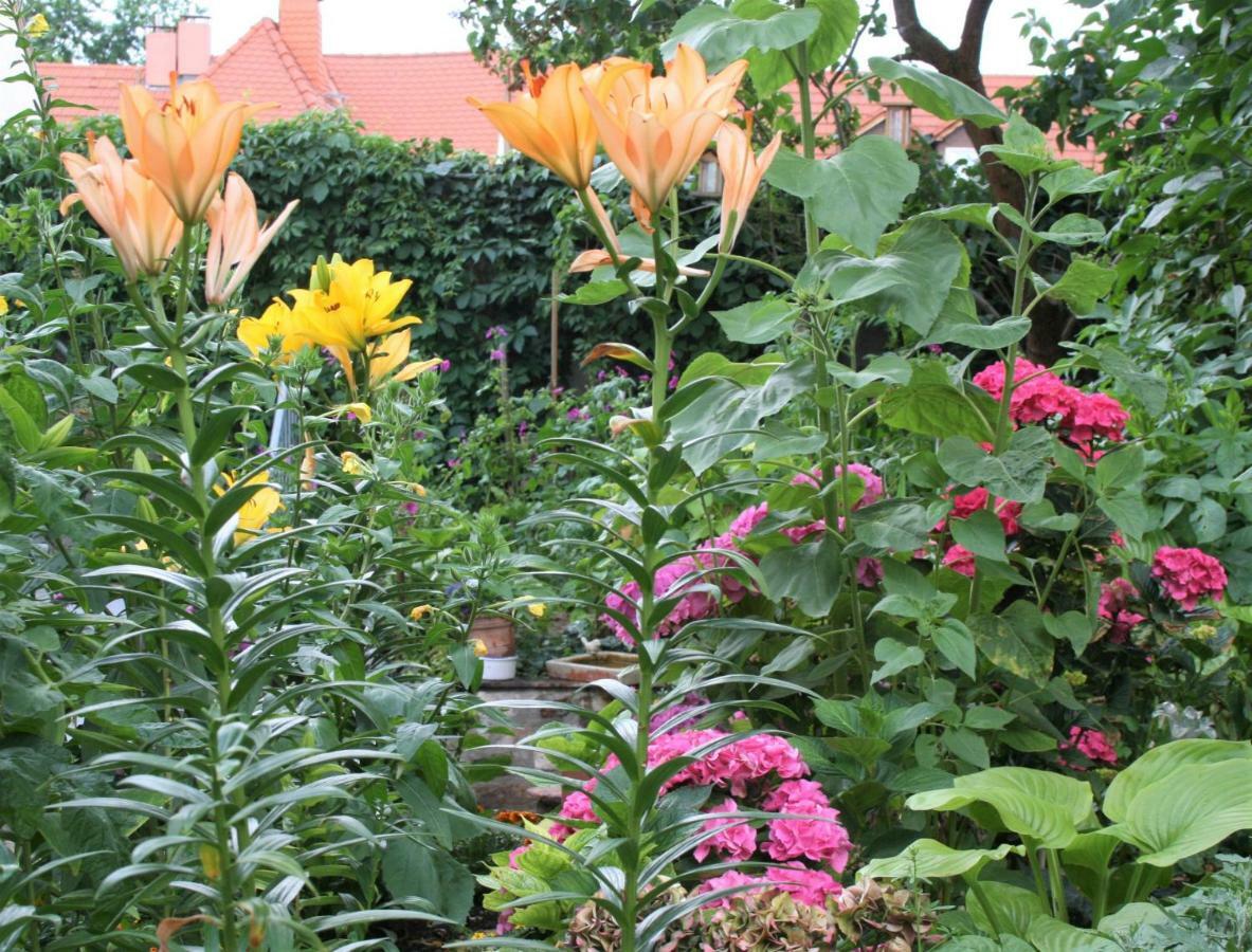 Herrenhof Worms Dış mekan fotoğraf